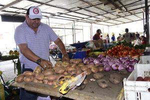 Estos serían algunos de los motivos del alza en el precio de la papa