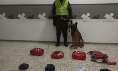 narco