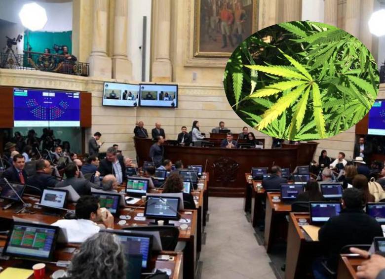 cannabis