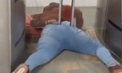 Curioso Incidente en Transmilenio: Mujer Queda Atrapada en la Puerta Anticolados