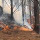 Emergencia en Colombia: Gobierno Evalúa Medidas Frente a los 31 Incendios Forestales