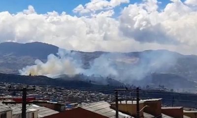 Habitantes del suroriente de Bogotá han reportado un incendio cerca del parque ecológico Entrenubes, generando preocupación por la preservación del entorno natural. El alcalde Carlos Fernando Galán ha declarado que bomberos de seis estaciones y un helicóptero están desplegados para contener las llamas y evitar daños mayores en esta importante reserva ecológica de la ciudad.