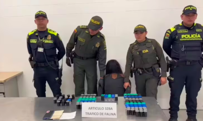 ¡Mujer Detenida en el Aeropuerto El Dorado con Frascos de Ranas Venenosas!
