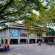 Persistencia Académica: El Fenómeno de Estudiantes Prolongados en la Universidad de Antioquia