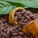 Cacao Colombiano de Guamal, Meta, Brilla en Competencia Internacional