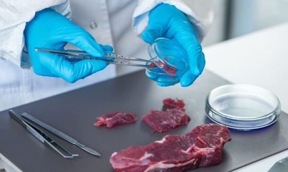 Científicos surcoreanos desarrollan arroz rosado en laboratorio como alternativa a la carne tradicional