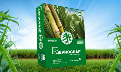 Propal, Empresa de Carvajal, Enfrenta Crisis en la Industria del Papel y Ofrece Retiro Voluntario a sus Empleados