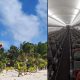 Desolador Vuelo a San Andrés: La Crisis Turística en el Archipiélago