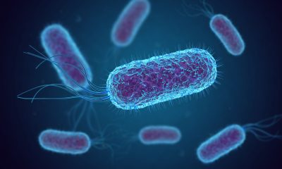 NASA detecta superbacteria mortal en el espacio: Riesgo creciente para la salud humana