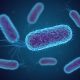 NASA detecta superbacteria mortal en el espacio: Riesgo creciente para la salud humana