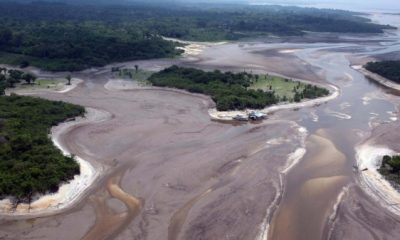 La Amazonía se enfrenta a un punto de no retorno en 2050, advierte estudio