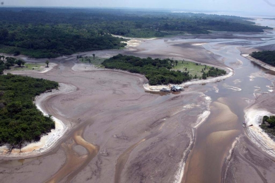 La Amazonía se enfrenta a un punto de no retorno en 2050, advierte estudio
